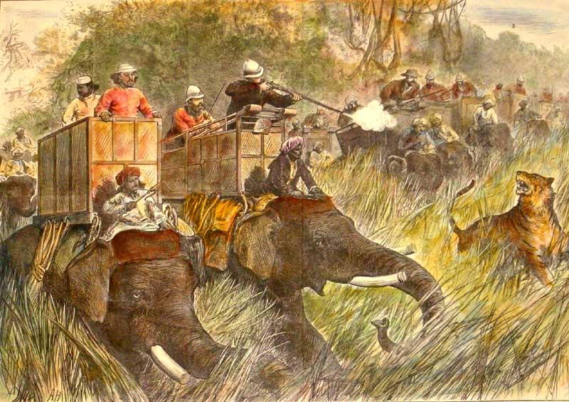 File:Tiger-Hunting-2.jpg