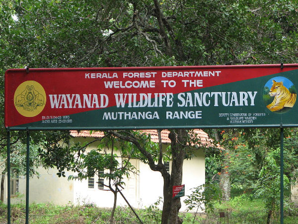 चित्र:Muthanga-Wildlife-Sanctuary.jpg
