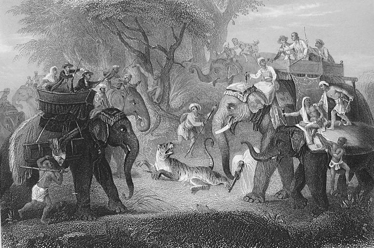 File:Tiger-Hunting-1.jpg