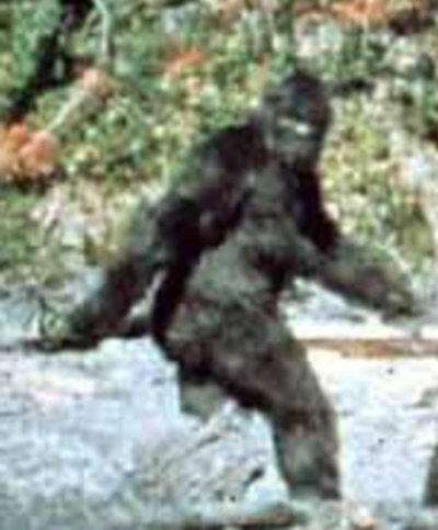 चित्र:Bigfoot.jpg