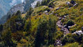 Thumbnail for version as of 07:54, 27 September 2016