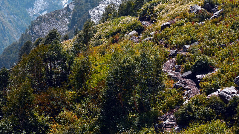 File:Chamoli-6.jpg