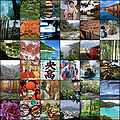 Thumbnail for version as of 09:24, 11 December 2011