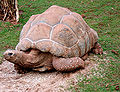 Thumbnail for version as of 09:14, 17 October 2011
