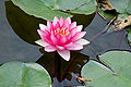 Thumbnail for version as of 07:42, 16 October 2011