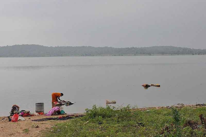 File:Narsapur-Forest-Reserve.jpg