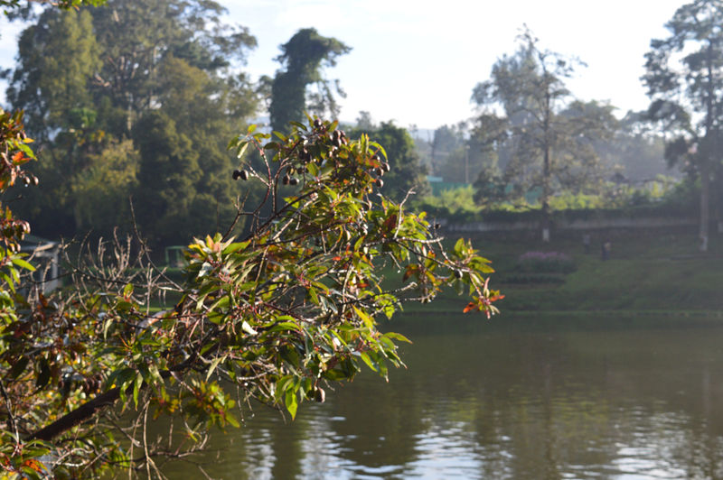 File:Wards Lake-7.jpg