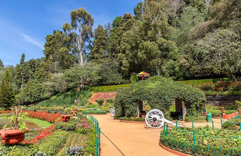 File:Government-Botanical-Garden-Ooty.jpg