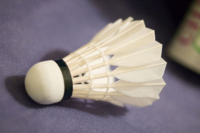 File:Shuttlecock.jpg