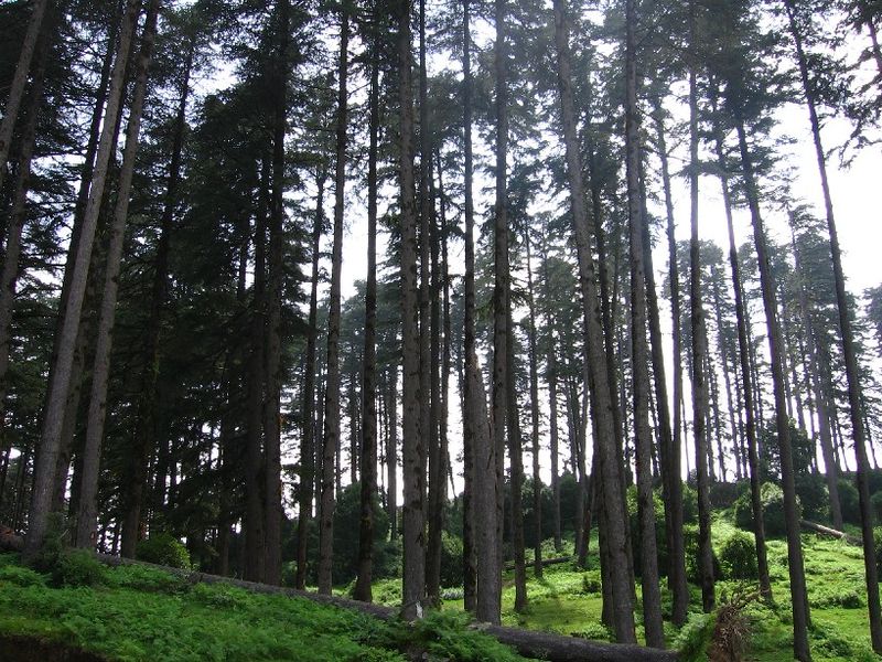 File:Dhanaulti-9.jpg
