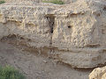 Thumbnail for version as of 07:29, 27 March 2011