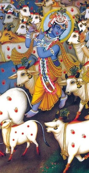 File:Shri krishna1.jpg