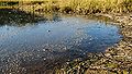 Thumbnail for version as of 12:24, 20 March 2013
