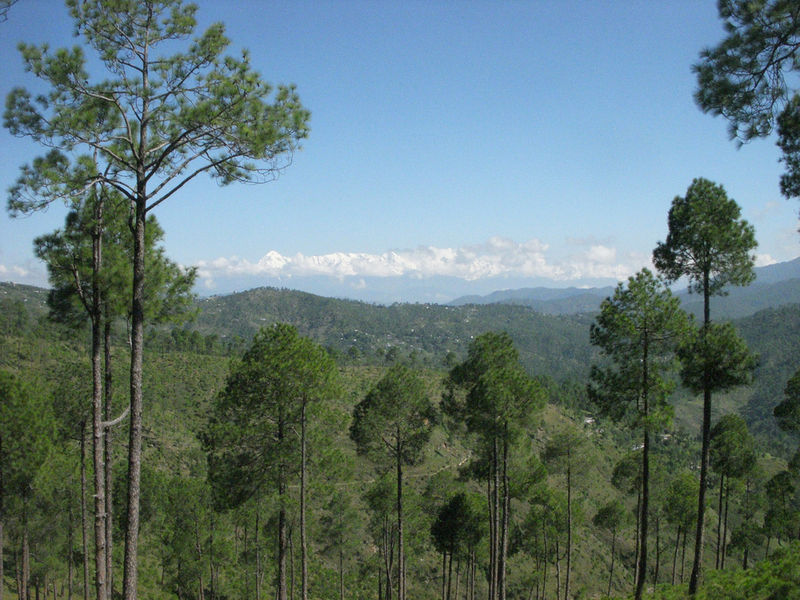 File:Almora-7.jpg
