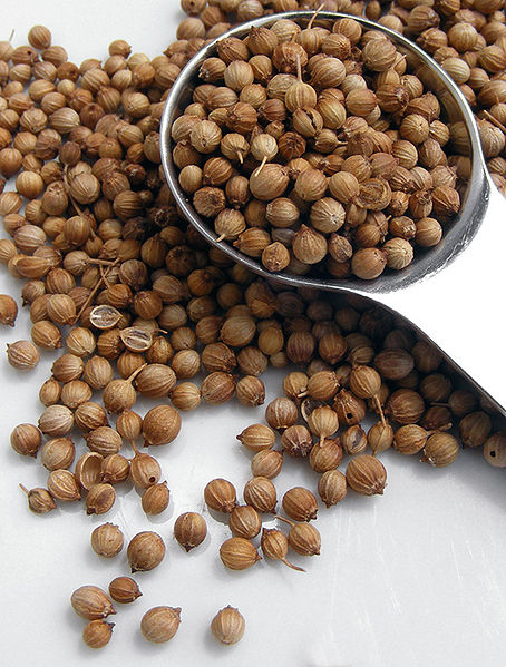 File:Coriander-Seeds.jpg