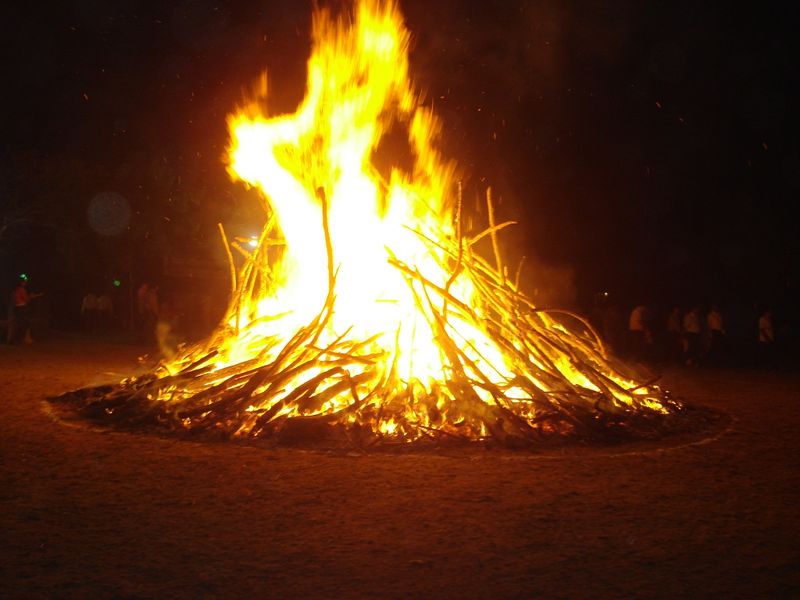 File:Holika-Dahan.jpg