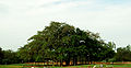 Thumbnail for version as of 05:35, 27 June 2012