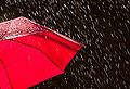 Thumbnail for version as of 13:20, 19 March 2013