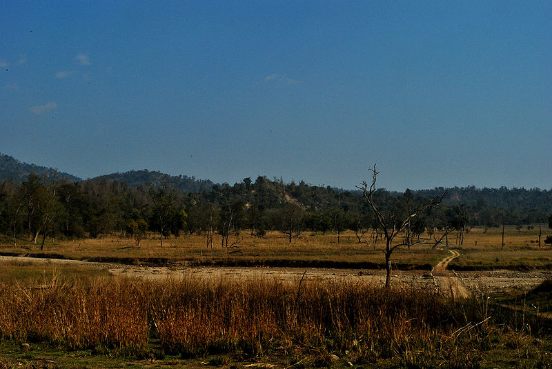 File:Rajaji-National-Park.jpg