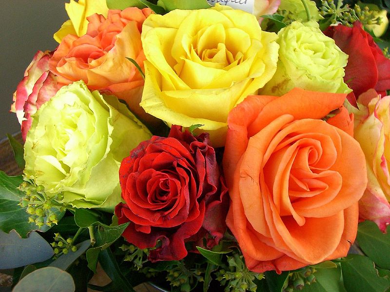 File:Rose-2.jpg