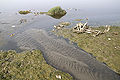 Thumbnail for version as of 07:29, 1 August 2012