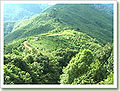 Thumbnail for version as of 09:46, 10 January 2012