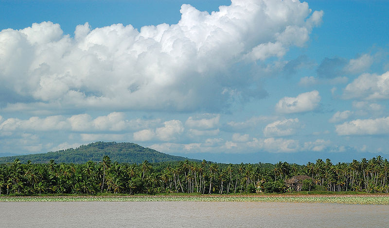 File:Vellayani-Lake-Thiruvananthapuram.jpg