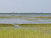 Chilika-Lake-5.jpg
