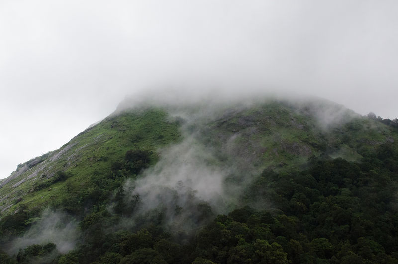 File:Nelliyampathy-10.jpg