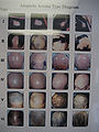Thumbnail for version as of 05:21, 30 March 2012