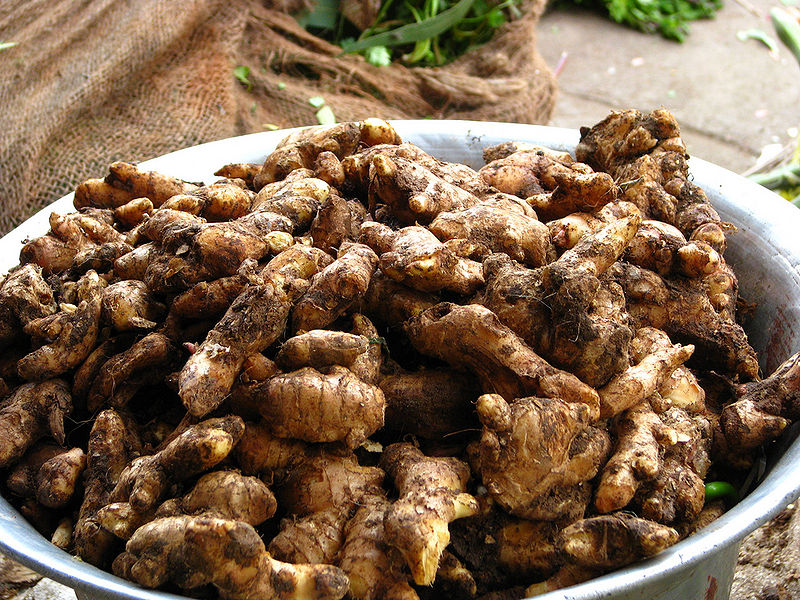 File:Ginger.jpg