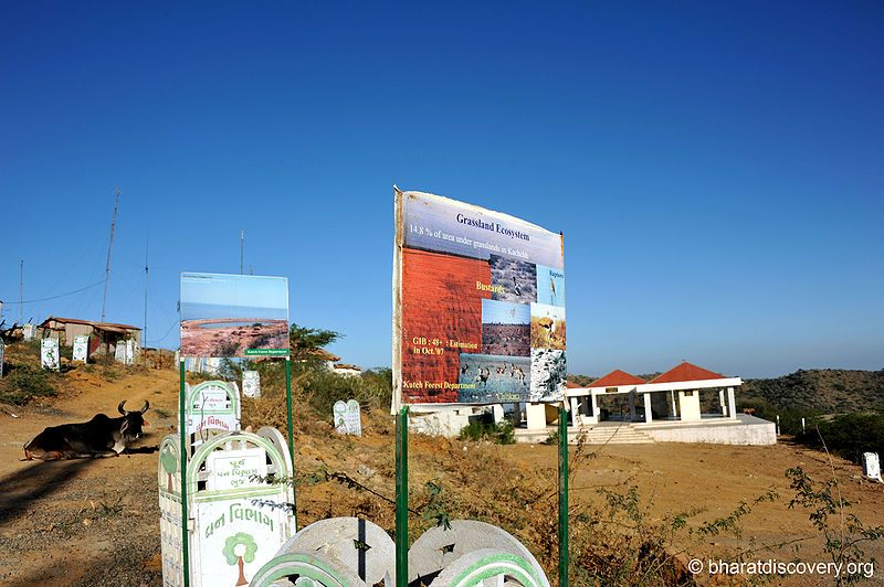 File:Kutch-Desert-Wildlife-Sanctuary.jpg