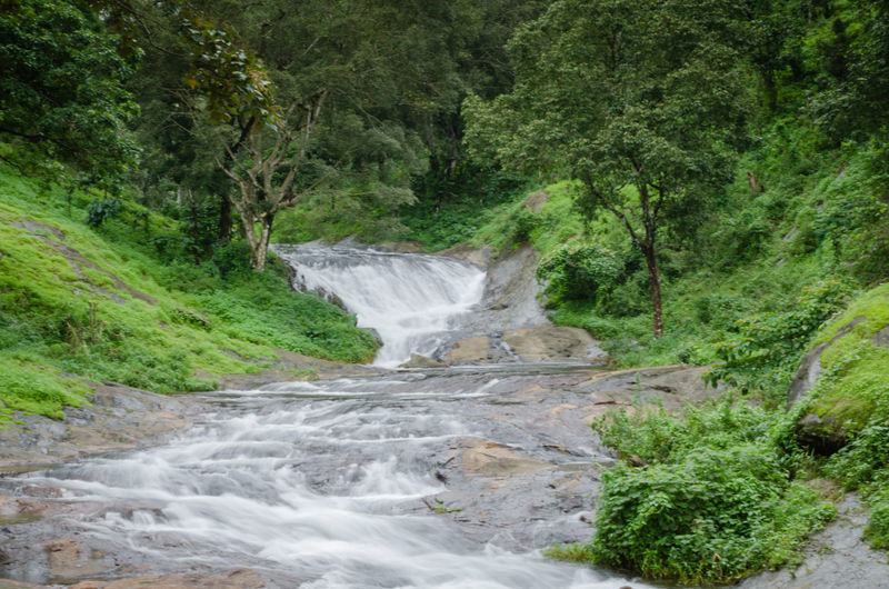 File:Nelliyampathy-9.jpg