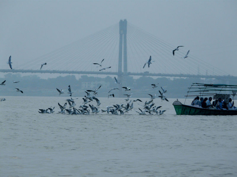 File:Sangam-Allahbad-3.jpg
