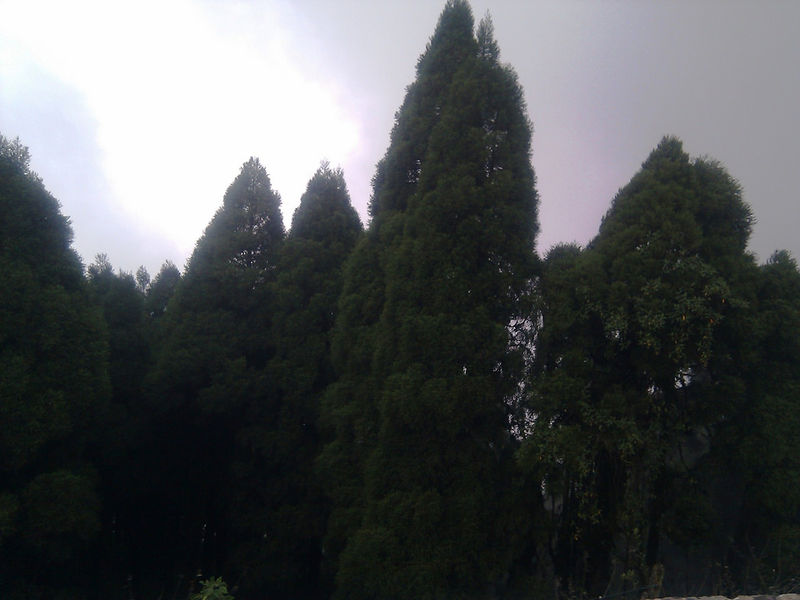File:Mirik-11.jpg