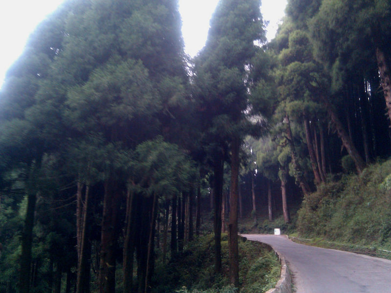 File:Mirik-3.jpg
