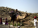 पारम्परिक बंजारे, गुजरात