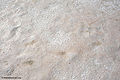 Thumbnail for version as of 12:20, 11 March 2011