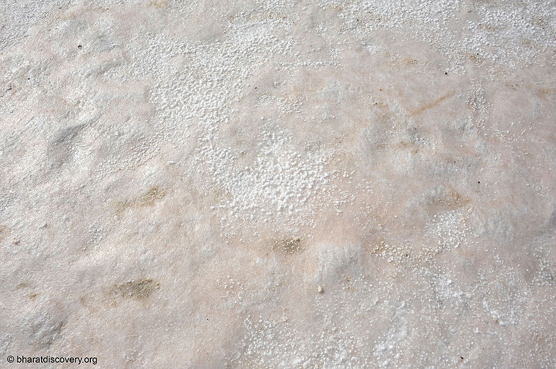 File:Rann-Of-Kachchh-9.jpg