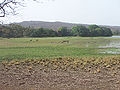 Thumbnail for version as of 05:37, 23 March 2012