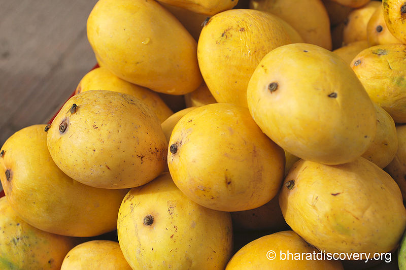 File:Mango-3.jpg