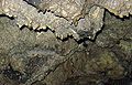 Thumbnail for version as of 16:40, 9 October 2012