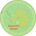 Antarctic.jpg