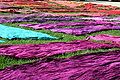 Thumbnail for version as of 14:43, 20 November 2012