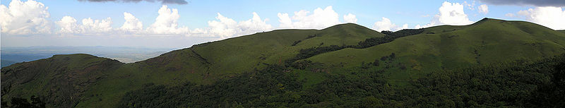 File:Z-Point-Kemmangundi.jpg