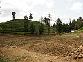 Thumbnail for version as of 11:22, 11 December 2011