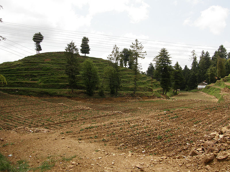 File:Kufri.jpg