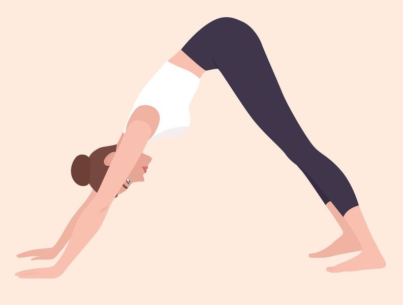 File:Adhomukhasvanasana.jpg