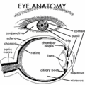 Thumbnail for version as of 07:00, 17 May 2011