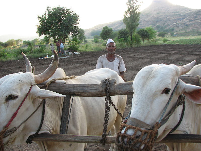 File:Indian-Farmer.jpg